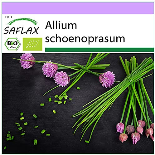 SAFLAX - Organic - Chives - 250 Seeds - Allium schoenoprasum