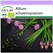 SAFLAX - BIO - Schnittlauch - 250 Samen - Allium schoenoprasum
