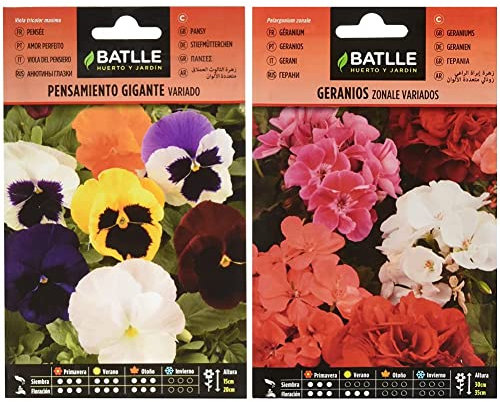 Pensamiento Gigante VARIADO & Geranios ZONALE Variados