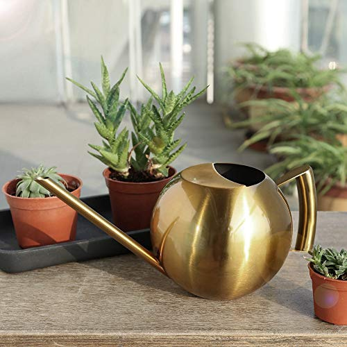 Edelstahl-Gießtopf, 1 L Fassungsvermögen, Lange Öffnung, Bonsai-Gießkanne, Streutopf für Topfpflanzen, Blumen (Gold)