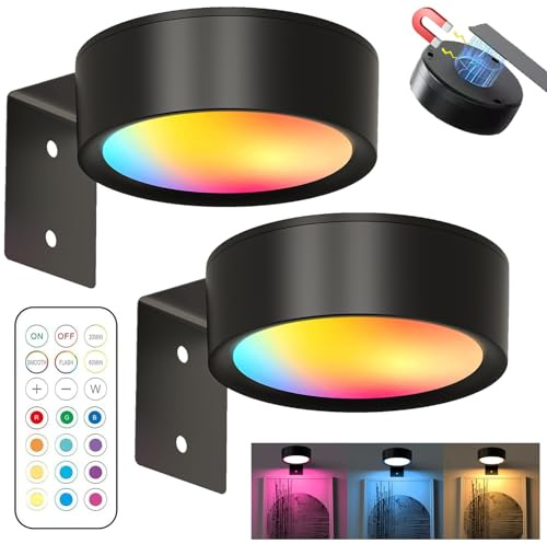 YOUYIKE 2 Stück Magnetisches Mallicht, Bilderleuchte Kabellos mit Fernbedienung, Bild Licht mit 3 Lichtfarben, Dimmbare Timer Kunst Display Licht, für Bilderrahmen, Wand, Regal, Bilder (Schwarz)