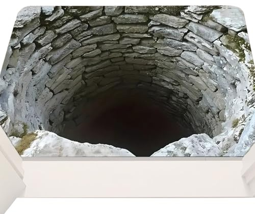 Hamosky 3D Optical Illusion Area Rug, 50x80cm Abyss Brick Stone Trap Illusion Non-Slip Absorbent Doormat, Stone Well Abyss Design, Non-Slip Crystal Velvet Doormat for Entryway Bathroom Bedroom