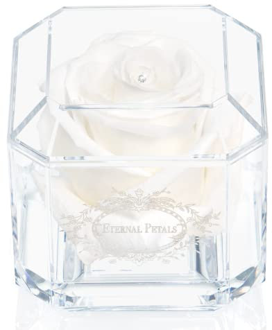 A 100% Real Rose That Lasts Years - Eternal Petals, Handmade in UK – White Gold Solo with A Clear Crystal (White)