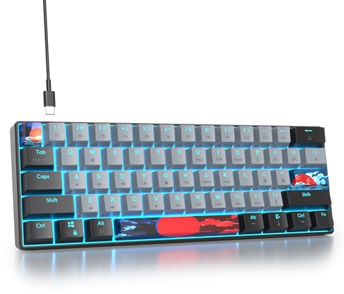 Mosptnspg Teclado mecánico portátil 60% para juegos, mini teclado compacto con retroiluminación RGB de 61 teclas con cable con interruptor azul para Mac/Win (interruptor Dolch/azul)