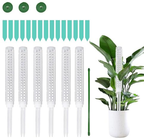Tuteur Plante Grimpante 6pcs - Support de Monstera en Pot Pour Maison et Jardin