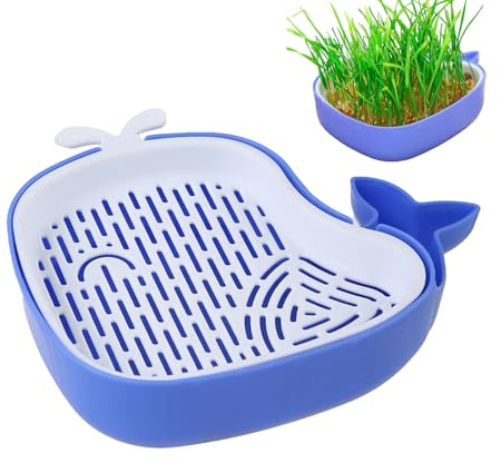 Kattgräs odling kit – valform gräskruka | lager design inomhus trädgårdsbrickor, hydroponisk ihålig planteringslåda, soillness groddbricka för husdjur, kattungar, husdjur 16,5 x 14,5 x 4,5 cm