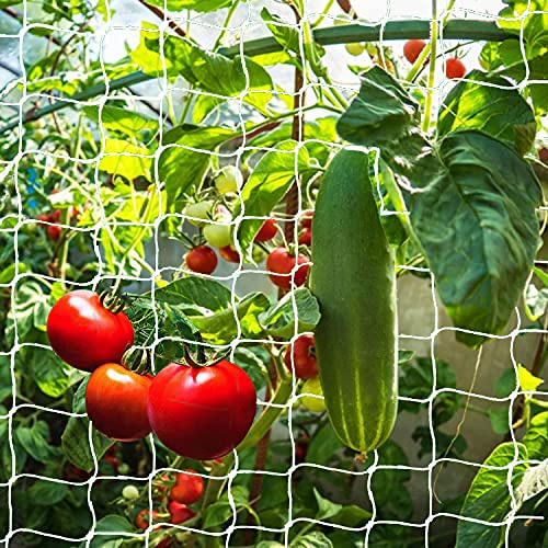 Pflanzennetz 15 cm Große Maschenweite Ranknetz Kletterpflanzen Gemüsepflanzen Rankgitter Garten Gewächshaus Kletternetz Gurken Tomaten Bohnen Rankhilfe Elastischer Gitternetz für Perfekten Wachstum