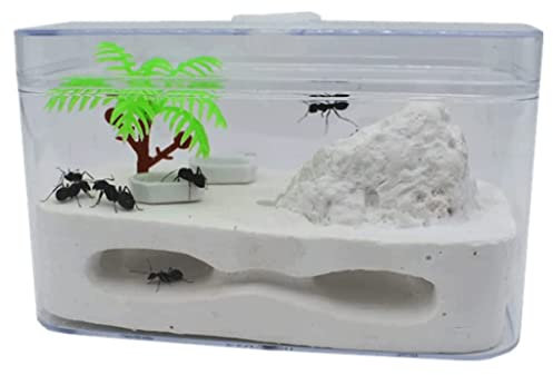Ameisenfarm Ameisenburg für Kinder, Ameisenlebensraum, Ameisen-Futterbox, Ökosystem, Bildung, Lernwissenschaft, Kit, Studie, Ameisen-Ökosystem, Ameisenfarm beobachten
