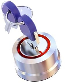 1 PZ 2/3 chiave ingranaggi testa pulsante manopola interruttore autobloccante 1NO1NC con luce verde blu 9-24 V 110 V 220 V (Color : RED, Size : 2NO - 3GEAR_LATCHING_220V)