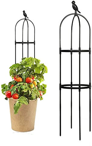 Garten Rankgitter für Kletterpflanzen im Freien, Obelisk Rankgitter aus Metall für Kletterpflanzen im Topf für Zimmerblumen, Gemüse, Obst, Weinreben, Stütze (Schwarz)