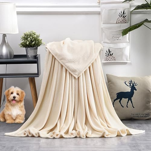 GAIFNAG Kuscheldecke Fleecedecke Flanell Decke 50 x 100 cm 230 G/M² Flanell Extra Weich, Waschbar Wohnzimmer Blanket, Schwere Bettdecke für Frauen, Männer, Baby, Kind, Haustier, Familie, Creme Farben