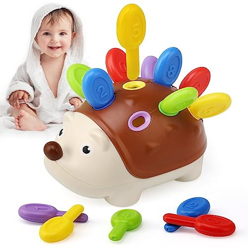 Ballery Jouet Montessori de Tri, Jeux Montessori 2 3 4 5 Ans, Jouet Sensoriel Montessori Motricité Fine Activités Éducatif Bébé, Jeu Éducatif pour Enfants pour 2 3 Ans Tout-Petits Enfants