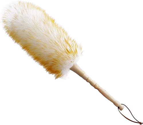 WIPPWER Ensemble plumeau poussière Brosse ménage plumeau poussière Brosse de Nettoyage Laine plumeau Brosse for Nettoyer Les véhicules Bureau et travaux ménagers poignée de dépoussiérage brosses