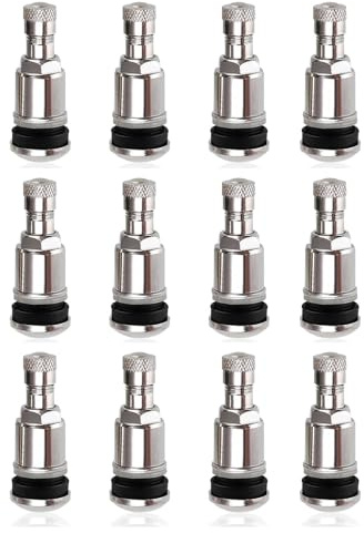 DqiUnaX 12 Stück Autoreifen Ventil 11,3 Mm, Autoventil, TR525 Stahl Reifenventil Universal Metall Felgenventile, Ventil Für Autoreifen, Für Auto Motorrad (Silber)