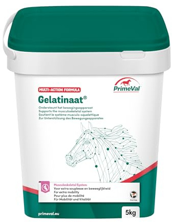 PRIMEVAL Gelatinatpulver – Unterstützt den Bewegungsapparat, trägt zur Flexibilität und Gelenkfunktion bei – Ergänzung basierend auf Kollagen vom Typ I und II, Glucosmin, Chondroitin – 5kg