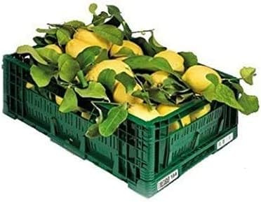 LIMONI NON TRATTATI e GARANTITI BUCCIA EDIBILE - 18 KG - CALIBRO MISTO - Giardino Digitale - Prodotti in Calabria - ITALIA