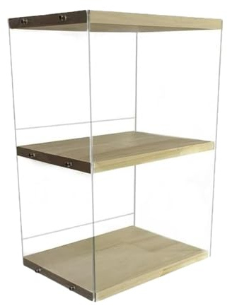 FytStycale Présentoir de Table pour Disques Vinyles, DVD, Albums et Magazines