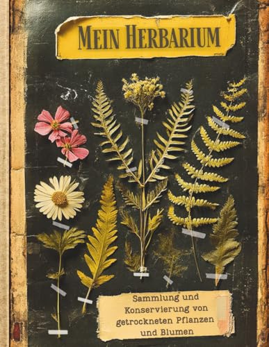 Mein Herbarium: Botanisches Notizbuch zum Aufbewahren gepresster Blumen, Blätter & getrockneter Pflanzen: Botanisches Journal | Sammler von Wildblumen ... ... Gärtnern | Großes A4-Format | 110 Seiten