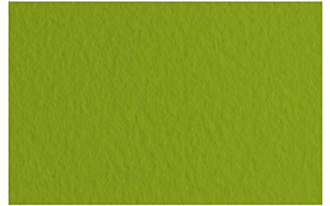 Honsell 21297143 - Fabriano Tiziano Pastellpapier Pistacchio, DIN A4, 50 Blatt, 160 g/m², hoch hadernhaltig, säurefrei und alterungsbeständig, griffige, raue Oberfläche