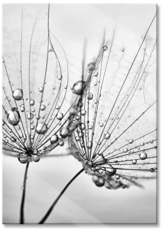 Pixxprint Glasbild, Wandbild aus Echtglas, Pusteblumen mit Tautropfen, 60x80 cm, inkl. Aufhängung und Abstandshalter