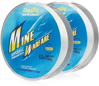 2 PCS Ligne de Pêche, Lignes de Monofilament, 100 m, Fil de Pêche de 0,45 mm en Nylon pour Pêche en Eau Douce ou Salée, Fil de Nylon Idéal pour Artisanat, Couture, Bijoux