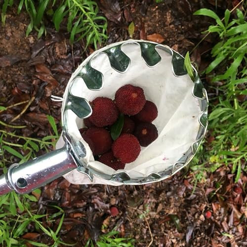 raccogli asparagi pinza frutta Strumento Per La Raccolta Della Frutta Con Cesto E Asta, 2.5 3 4 5 7 10 M Cacciatore Telescopico Per Mele, Arance, Limoni E Avocado Per Grandi Alberi Alti, Raccoglitore