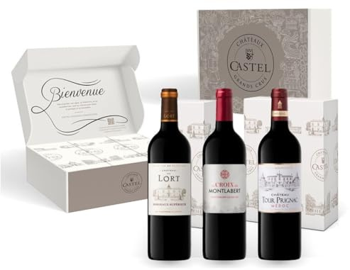 Geschenkset Goldmedaillengewinner Bordeaux-Wein - Rotwein Trocken : Château du Lort - La Croix Montlabert - Châteaux Tour Prignac (3 x 0,75 l)