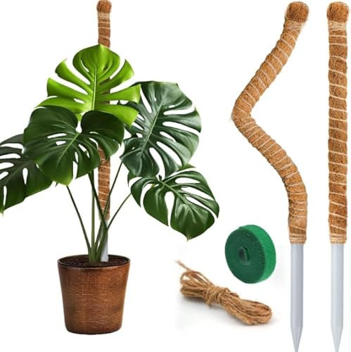 Moosstab, 120 cm Moosstab für Monstera, Rankhilfe Monstera, Pflanzenstütze, Rankhilfe Zimmerpflanzen, Pflanzenstab, Moss Pole mit Zubehör, Kokosstab Monstera, für Kletterpflanzen im Innenbereich