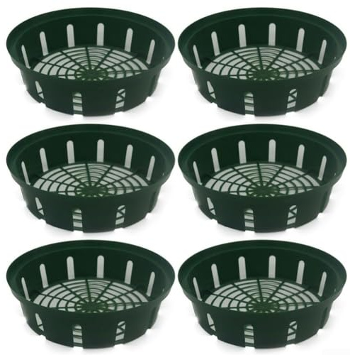 Zeroupshop 6 cestas de plástico para bulbos de flores, bandejas de cultivo de bulbos de flores ligeras con diseño calado para plantar jardines al aire libre y arreglos florales en el hogar, 26 x 22 x