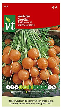 Carottes Marché de Paris Graines - Carottes rondes en forme d’un grand radis