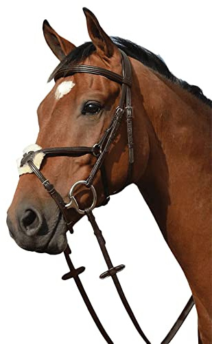 Collegiate Syntovia+ Padded Raised Figure 8 Bridle, Brown, Cob