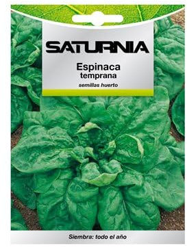 SATURNIA Semillas Espinaca Temprana (8 Gramos) Semillas Verduras, Horticultura, Horticola, Semillas Huerto.