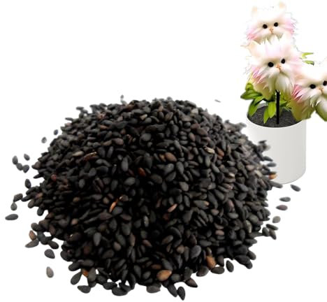 Orchid - Cat-face Shaped Orchid Seedlings, Help Soothe Emotions, Absorb Formaldehyde, Suitable for Bedroom and Study, Decorative Fresh Flowers