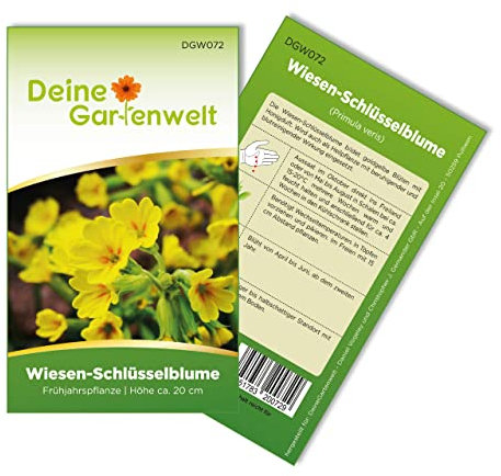 Wiesen-Schlüsselblume Samen - Primula veris - Wiesen-Schlüsselblumensamen - Blumensamen - Saatgut für 25 Pflanzen