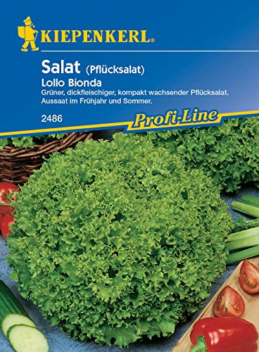 Kiepenkerl 2486 Pflücksalat Lollo Bionda, dickfleischiger dekorativer und kompakt wachsender Pflücksalat