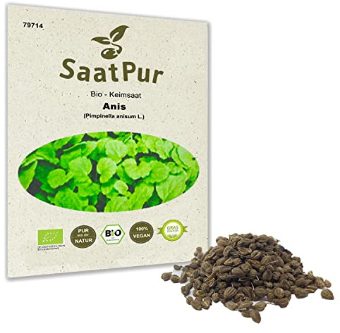 BIO Keimsprossen Anis Bio Keimsaat von SaatPur - Sprossen, Microgreens - 5g