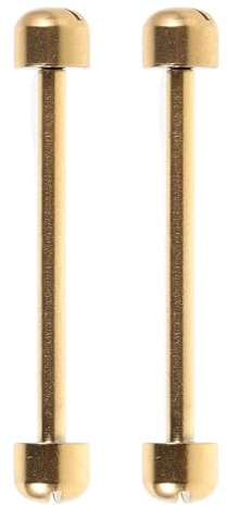 WESIEVYA 2 Piezas de Tubo de Tornillo de Enlace de Correa de Reloj: Varillas de conexión de Correa de Repuesto de Acero Inoxidable de 22 mm para Pulsera de Reloj de cerámica - Pasadores de