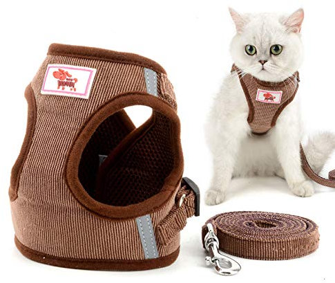 smalllee_lucky_store Cordsamt Hundegeschirr mit Leine kleine Hunde, weiches Netzgewebe,reflektierend, katzengeschirr ausbruchsicher, verstellbar,für Jungen,Mädchen,kleine Welpen,Kätzchen