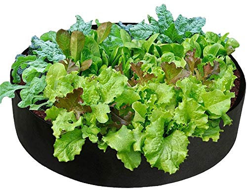 KUANDARMX Sehr gut 15/50/100 Gallon Pflanztasche, Pflanze Wachsende Tasche, Vliesstoff Pflanzsack mit Griffe für Kartoffeln, Tomaten und Erdbeeren Anwesend, Black, 100 Gallons