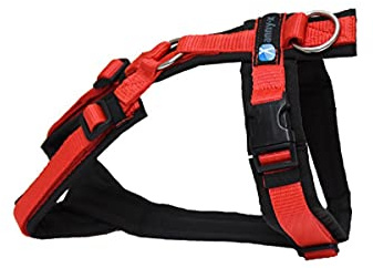 anny-x Brustgeschirr Fun schwarz rot - Gr. XXS