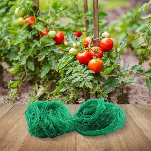 Kletternetz aus Nylon für alle Arten von Pflanzen (1,8 x 5 m)