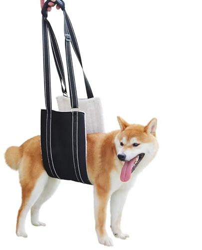 Ziyonix Harnais Réglable pour Chien, Harnais de Levage Handicapé de Rééducation Aide au Transport Réglable pour Chien Vieux Handicapé et Blessé (L)