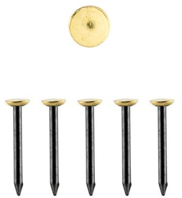 30 Stück Bildernägel 25 mm, Bilder aufhängen ohne bohren, Stahlnägel Set mit goldenem Kopf, für Betonwände, Holz, Putz & Ytong, Bildaufhänger, Made in Germany