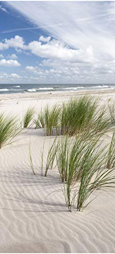 wandmotiv24 Türtapete Gräser am Sandstrand, Meer, Wasser 90 x 200cm (B x H) - Dekorfolie Selbstklebend Sticker für Türen, Türfolie, Aufkleber, M1110