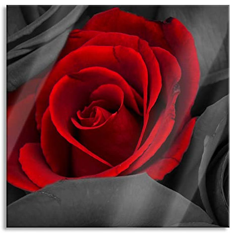 Pixxprint Glasbild, Wandbild auf Echtglas, romantische rote Rosen, 40x40 cm, inkl. Aufhängung und Abstandshalter