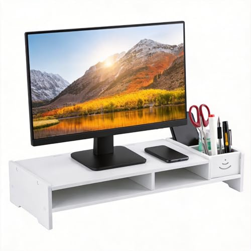 Computer Monitor Stands with Storage Organizer 20 X 8 X 4 in, Laptop PC Screen Riser Stand Desktop, PVC Artificial Board White