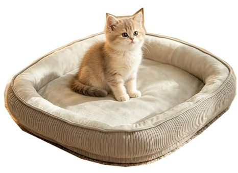 Generico Letto Ortopedico per Gatti da Interno, Cuccia Lavabile con Spugna ad Alta Resilienza, Materassino Morbido con Sponde, Comfort per Gatti e Gattini(Large)