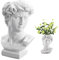 Grec David Statue Planteur, Vase de David, Statues de Buste de Tête de David, Style Nordique Décoration de la Maison Planter Succulent Vase Résine Art Artisanat Sculpture Croquis Pratique Cadeau