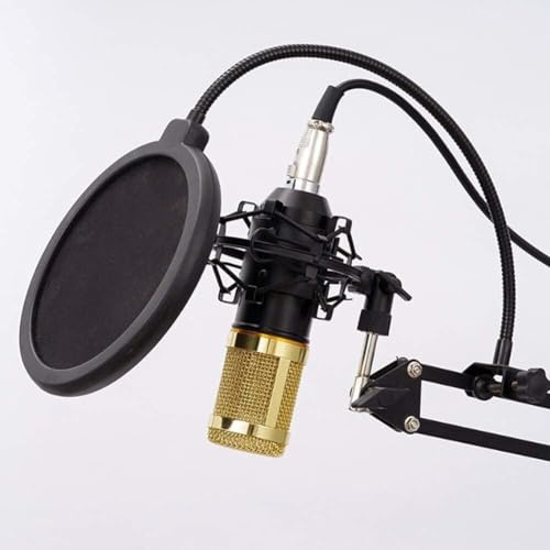 ELzEy Microfono a condensatore Kit di apparecchiature for streaming live Registrazione su computer Microfono di ancoraggio Microfono for voce K Song