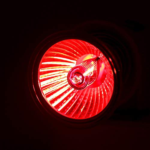Qcwwy Värmelampa för Reptiler Reptillampa Värmelampalampor Terrarium Dagsljus Basking Spot Lamp Light Värmelampa för Reptiler och Amfibietankar Terrarier och Burar (70W)